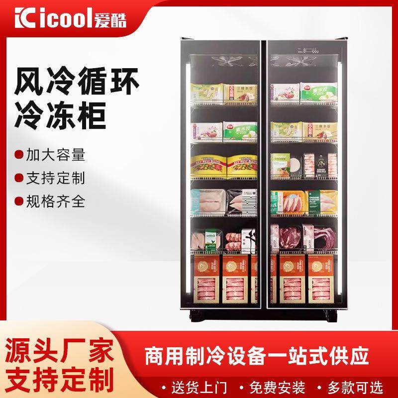 冰柜商用大容量冷藏保温柜家用超市啤酒保鲜双门式省电冷冻柜加工