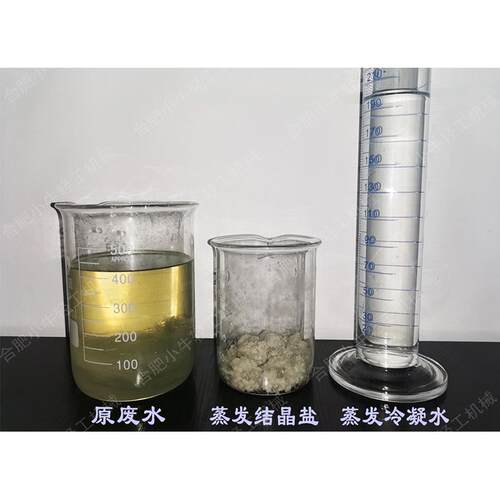 强制循环废水蒸发结晶系统 污水处理设备 多效单效蒸发浓缩结晶器