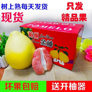 正宗三红蜜柚送礼佳品