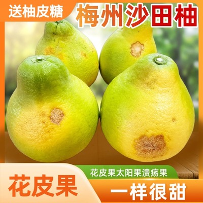 纯甜花皮老树沙田柚，很丑但很甜