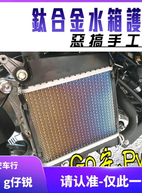 恶搞 6代六代新劲战 水冷BWS NMAX 改装钛合金水箱保护网水箱网