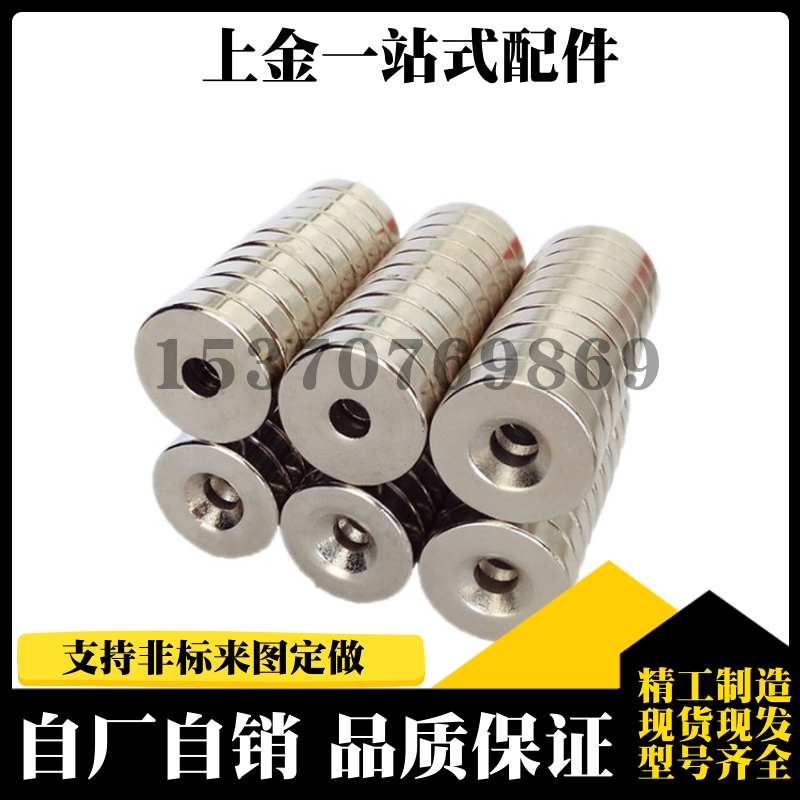 BLS65/66-A8/A10/A12/A15/A20/A25-T2/T3/T4/T4.5/T5/T5.5/T6磁铁