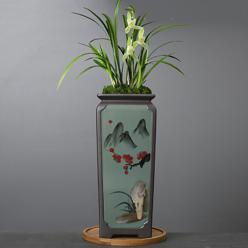 兰花花盆陶瓷紫砂透气兰草蝴蝶兰专用吊兰盆景盆栽老桩多肉花盆,鲜花速递/花卉仿真/绿植园艺,洒水/浇水壶,淘宝优惠券,粉丝福利购,淘宝优惠卷