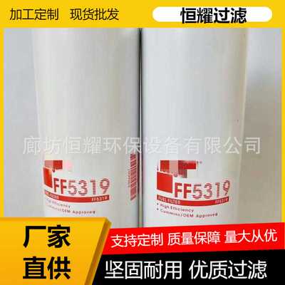 FF5319 柴油滤清器滤芯 BF7587 燃油滤清器 1R0749 3089679