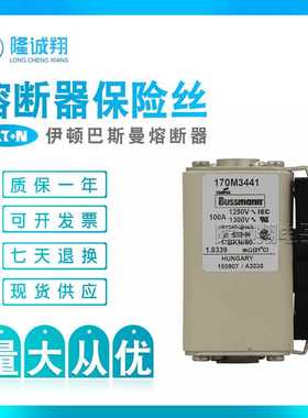 【熔断器保险丝】170M3446 170M3447 170M3448 170M4438 170M4439