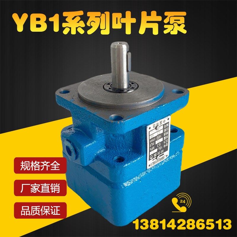 液压YB1叶片泵油泵YB1-6 YB1-10/16/4/20/25/40/50/80/100单双联,3C数码配件,USB多功能数码宝,淘宝优惠券,粉丝福利购,淘宝优惠卷