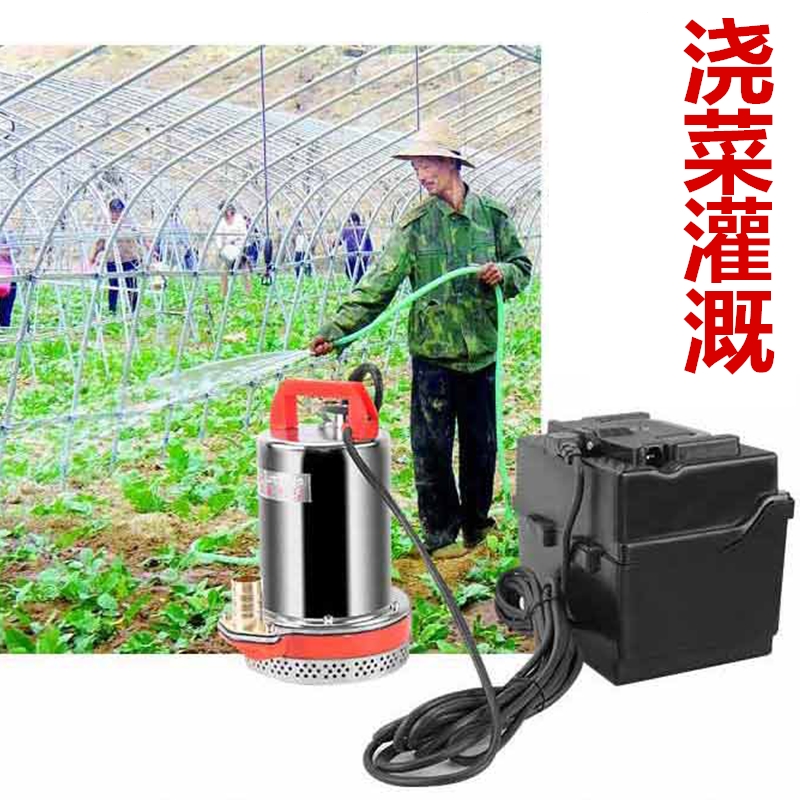 自吸高扬程12v便携式蓄电池水泵磅电瓶车抽水机24v48伏高压潜水棒