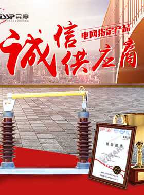 民赛RW5-3540.5KV/100_200a跌落式熔断器 高压户外柱上陶瓷熔断器