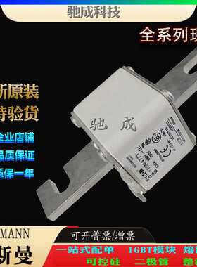 巴斯曼170M4759 170M4760 170M4761 经销  零售 低压保险丝