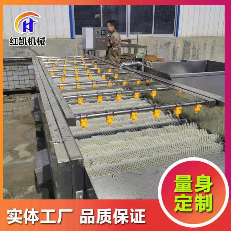 厂家供应生蚝毛辊清洗机 牡蛎海蛎子清洗机 海蛎子清洗分拣线