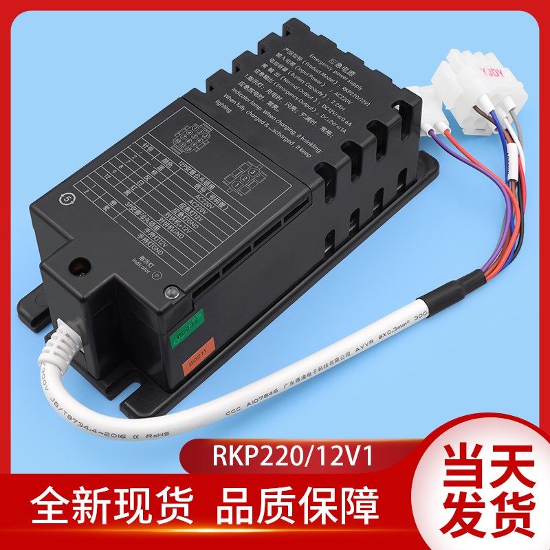 杭州西奥应急电源RKP220/12V1德凌RKP220/12Q电梯对讲专用电源