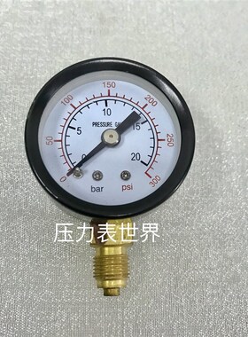 出口型压力计 压力表 压力显示表 y-40 0~20bar 0~300psi G1/8