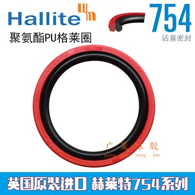 进口Hallite H754 格莱圈 75*59.5 80*64.5 85*69.5 90*74.5*6.3