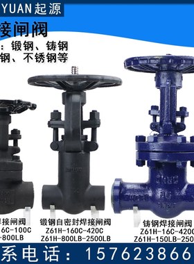 焊接闸阀Z61H-16C-420C J61Y-P54-16I-320I 16V-170V碳钢铬钼钢15