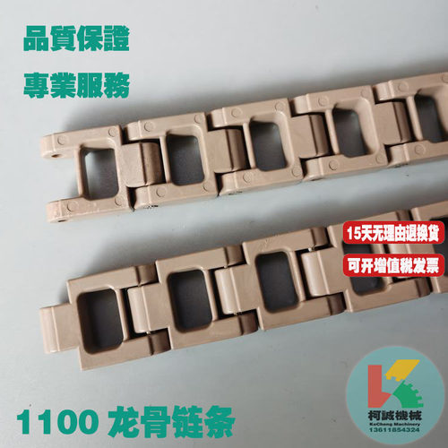 1100龙骨链条25.4节距塑料链条 POM材质清洗机输送链气浮机传送链