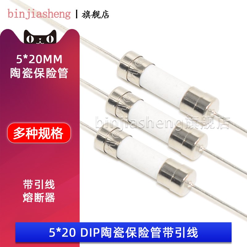 电磁炉陶瓷保险丝管 5*20MM 带引线脚250V 3.15 8 10A 12 15A-30A