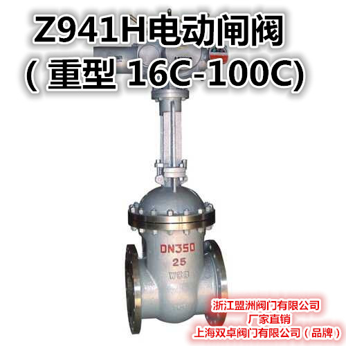 Z941H-64C 电动铸钢蒸汽法兰闸阀 DN40 50 65 80 100 125 150-700