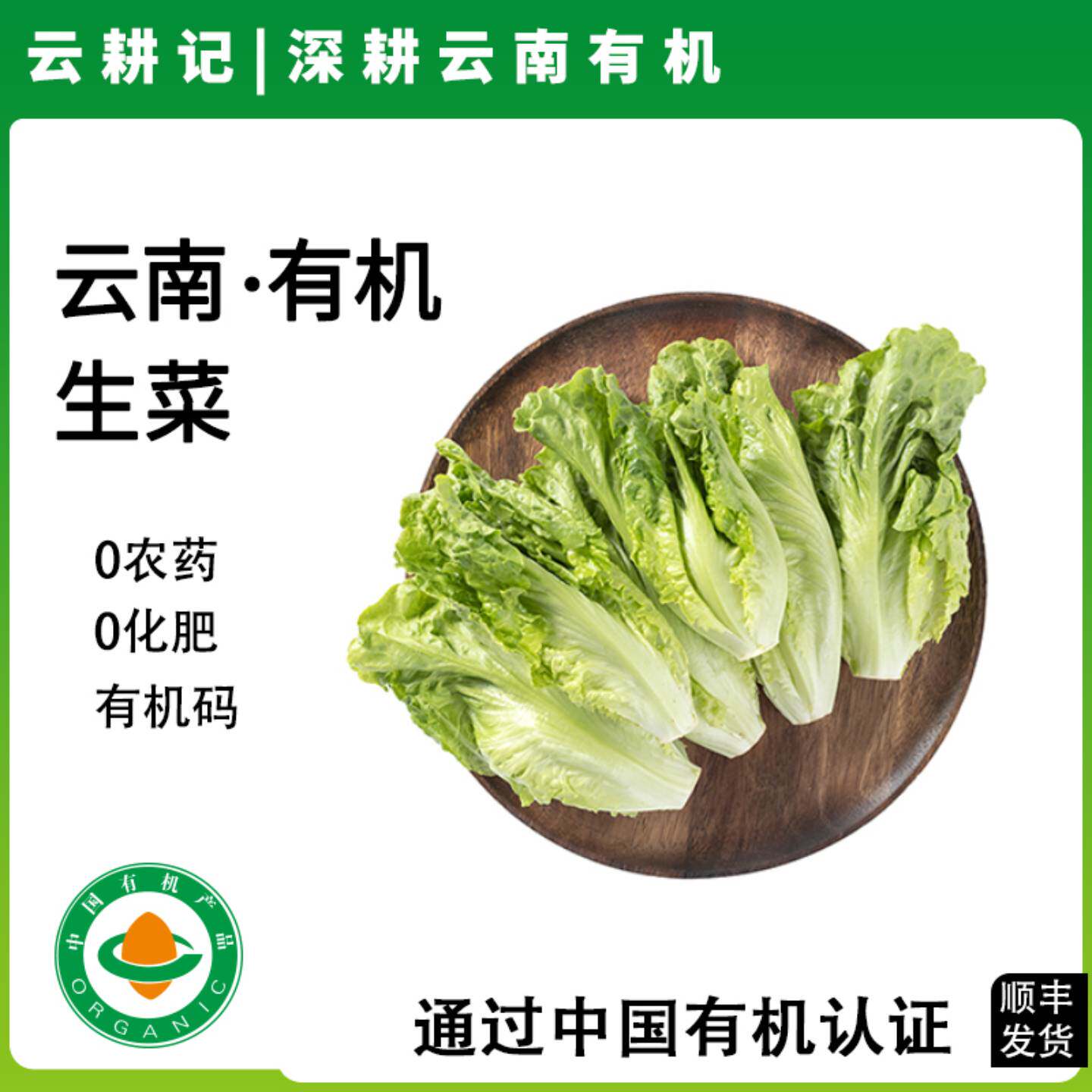 云南有机生菜意大利罗马生菜蔬菜新鲜叶菜青菜沙拉菜食材即食顺丰
