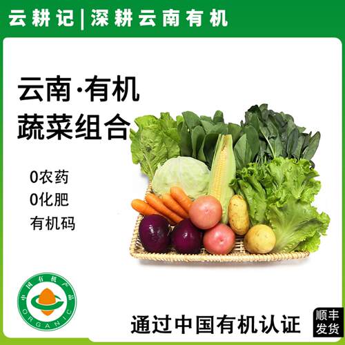 云南有机蔬菜自选40多种组合青菜