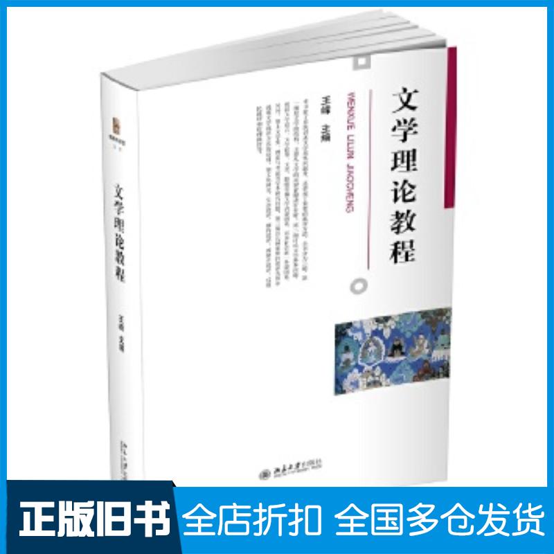 正版旧书文学理论教程王峰北京大学出版社9787301317006