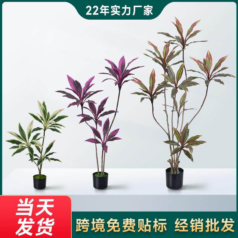 厂家仿真巴西铁绿植盆栽室内橱窗植物巴西木仿生摆件绿植装饰