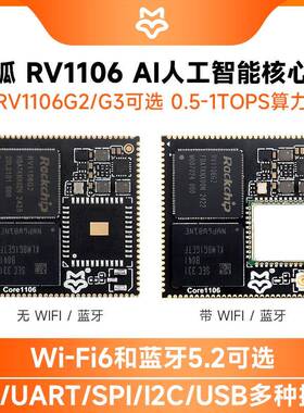 幸狐Core1106 RV1106核心板AI人工智能开发板 0.5-1TOPS算力可选