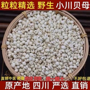 发货和图片一样真品质250克川贝母50g 500g正宗抱月野生川贝100克