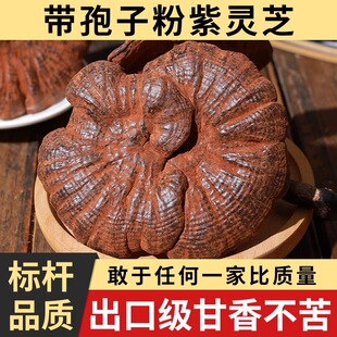 灵芝林下正宗深山整朵不苦林芝半野生紫芝片干货煲汤泡酒药材