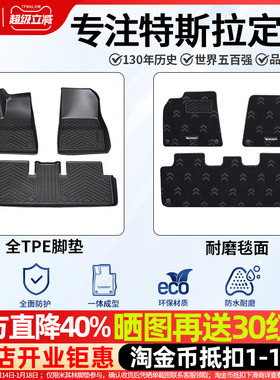 米其林全TPE汽车脚垫适用于焕新版特斯拉Model3ModelY脚垫