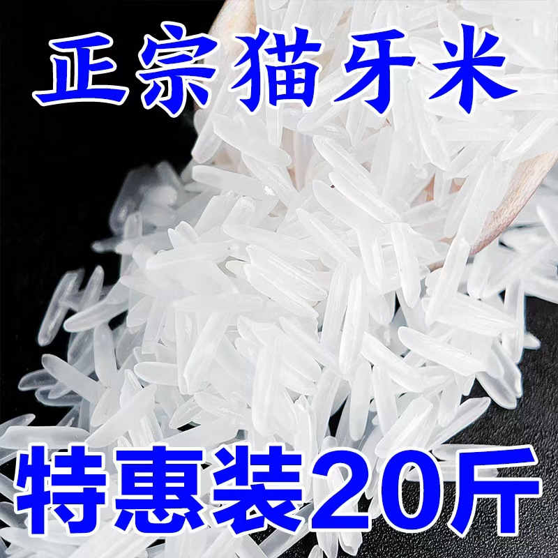 当季新米猫牙米10kg长粒香米
