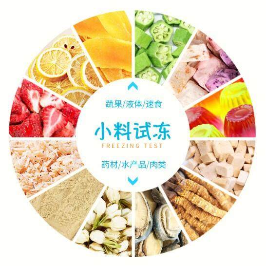 真空冷冻干燥机冻干小样品水果干宠物食品鸡胸肉类免费试冻