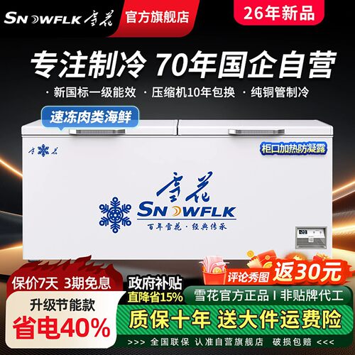 【70年国企雪花】大容量商用冰柜