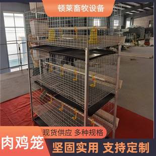 鸡笼立式肉鸡笼养殖设备养殖场鸡舍家用鸡笼子