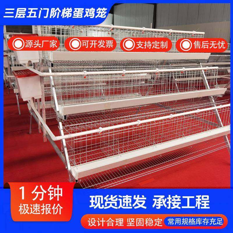 多层阶梯蛋鸡笼三层四层镀锌丝笼层叠式养鸡养殖设备家用加密笼子,农机/农具/农膜,农用防护器具,淘宝优惠券,粉丝福利购,淘宝优惠卷