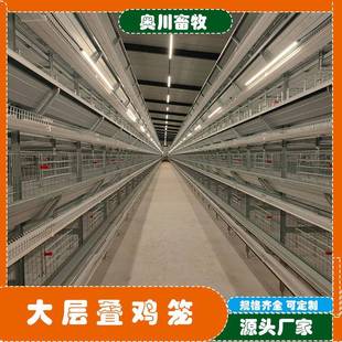 鸡舍养殖厂自动化捡蛋清粪养鸡设备层叠式大层叠四层蛋鸡笼