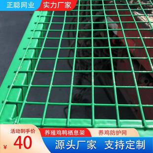 养鸡网护栏网/浸塑护栏网/养鸡围挡护栏防攀爬户外