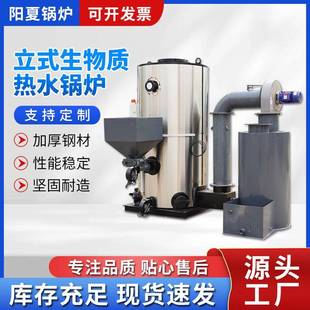立式生物质燃煤燃气热水锅炉升温节能商用供暖洗浴水池加温锅炉