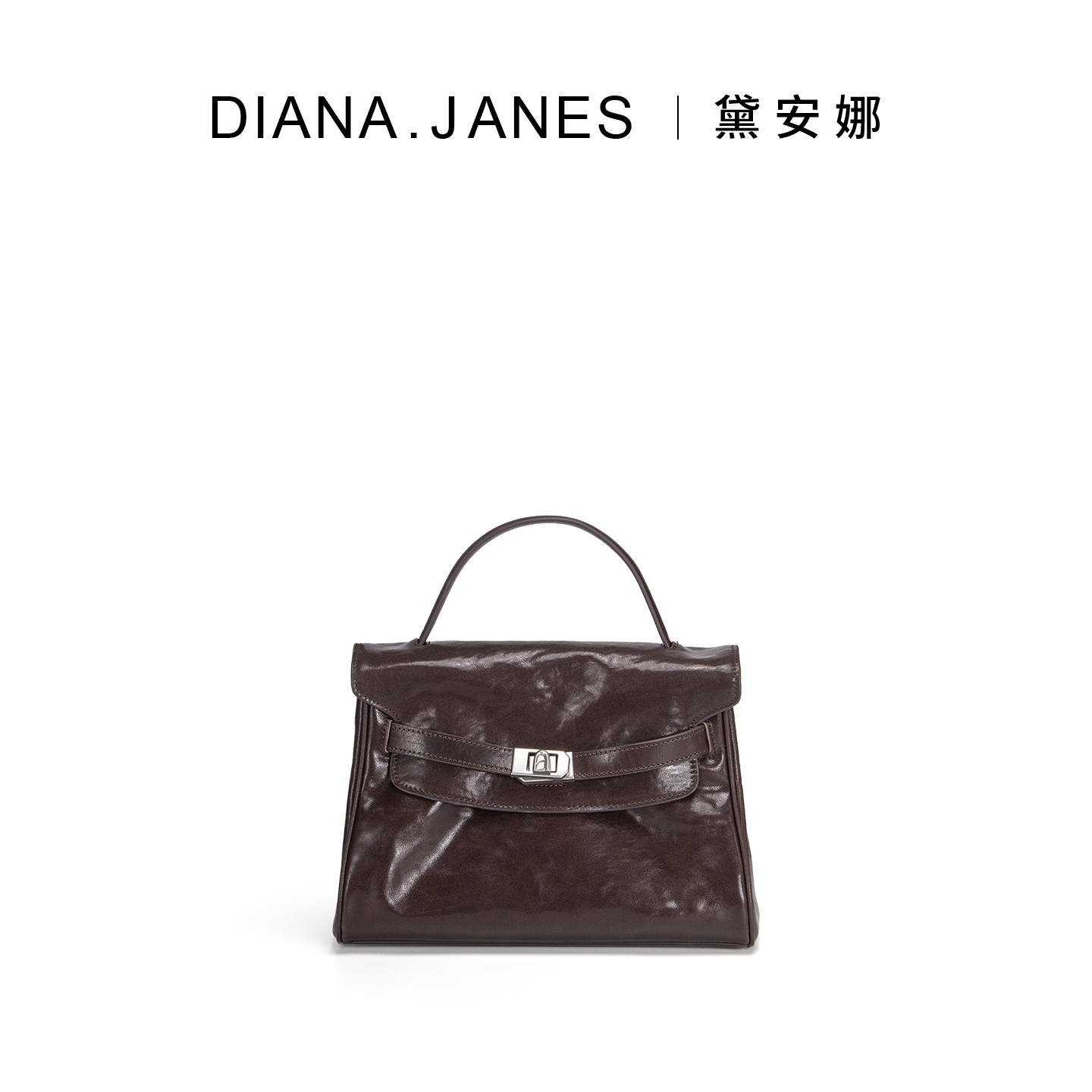 DJ黛安娜.珍妮丝 手提包单肩腋下小方包 1月16号上架限时8.8折,箱包皮具/热销女包/男包,小方包,淘宝优惠券,粉丝福利购,淘宝优惠卷