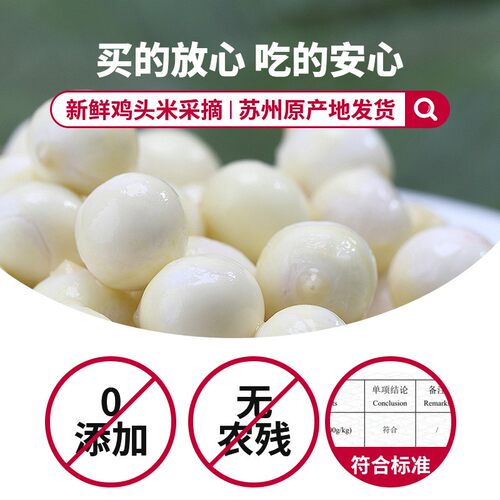 正宗新鲜苏州鸡头米苏芡  苏州产地直发