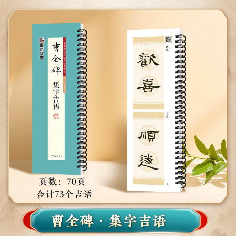 【可开票全新正版】墨点字帖中国碑帖近距离临摹字卡经典原碑拓印高清字卡初学者近距离临帖练字卡成人学生书法曹全碑集字吉语9787