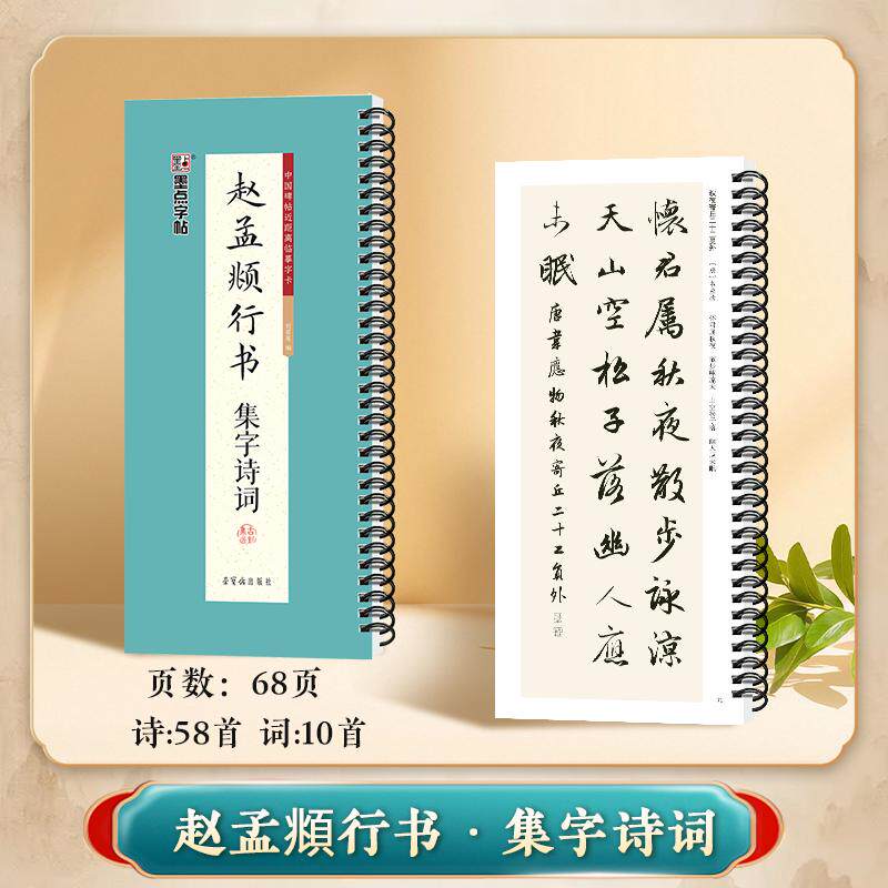 【可开票全新正版】墨点字帖中国碑帖近距离临摹字卡经典原碑拓印高清字卡初学者近距离临帖练字卡成人学生书法赵孟頫行书集字诗词