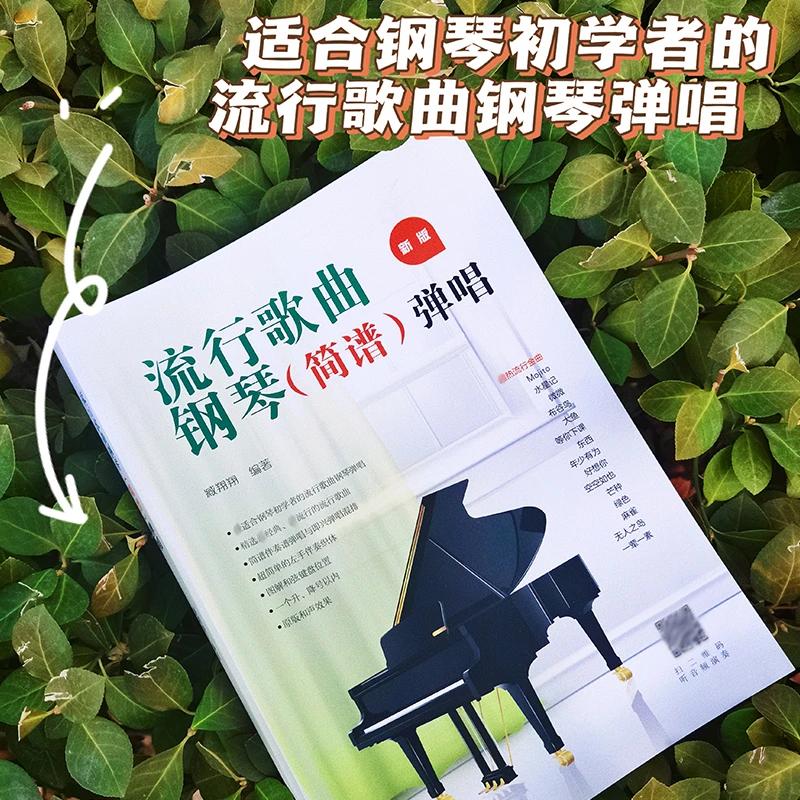 【可开票全新正版】流行歌曲钢琴简谱弹唱+五线谱本（全2册）9787544298087南海出版公司