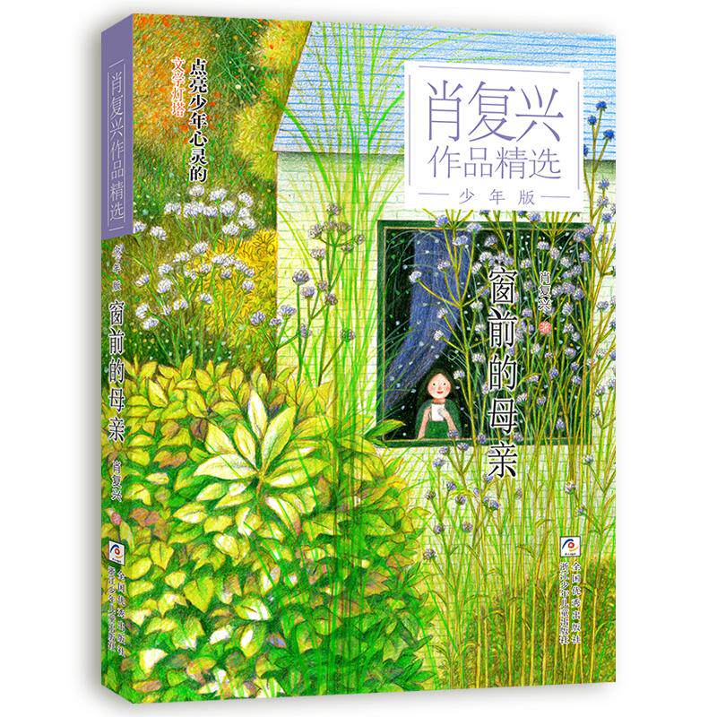 【可开票全新正版】肖复兴作品精选少年版窗前的母亲浙江少年儿童出版社肖复兴2025-10-019787559744074