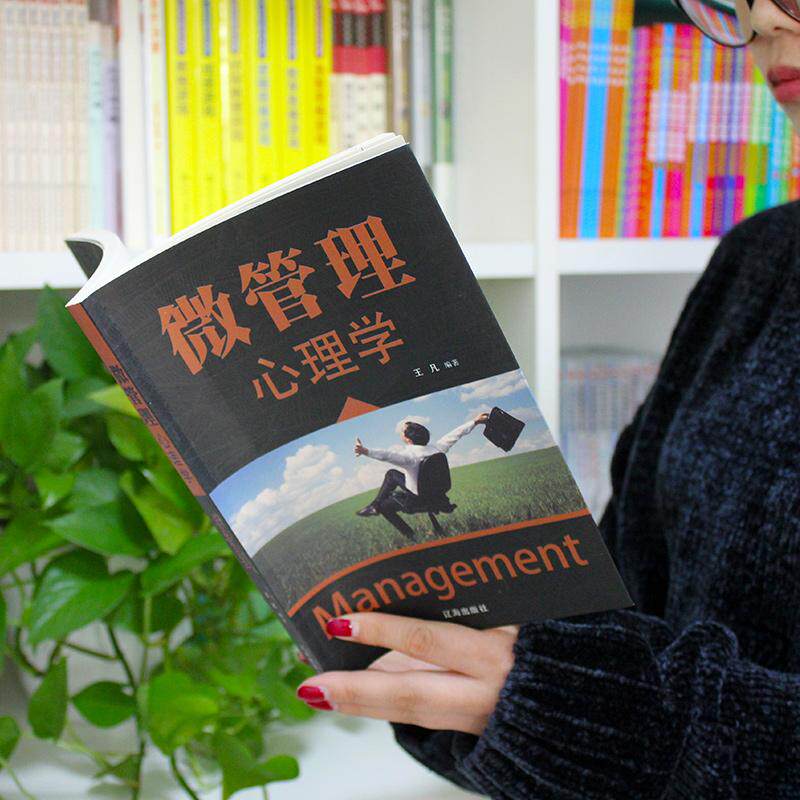 【可开票全新正版】微管理心理学 软装经管励志书 聚焦精细化管理细节 读懂员工心理 提升团队管理效率领导力实战读物王凡辽海出版