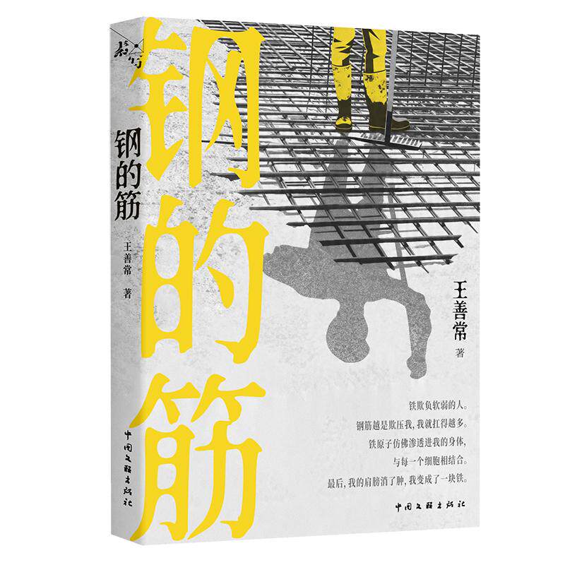 【可开票全新正版】钢的筋 当代散文 素写书系 当当自营中国文联出版社2026-07-209787519060268王善常