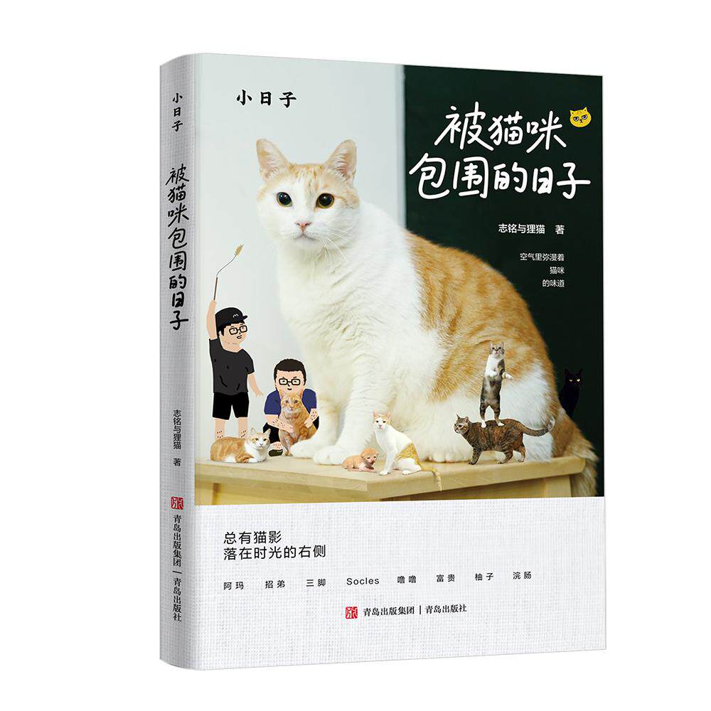 【可开票全新正版】被猫咪包围的日子 坐拥百万粉丝的猫咪届真网红“黄阿玛”和小伙伴的可爱日常 所有猫奴人手一本的“撸猫圣经”