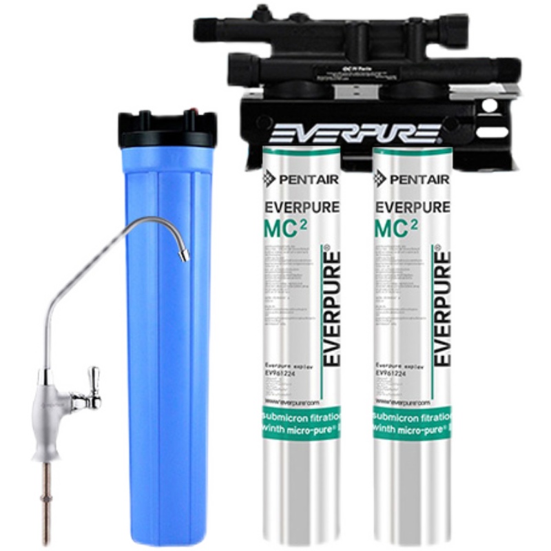 爱惠浦MC2联净水器商用大流量直饮水机奶茶咖啡店专用