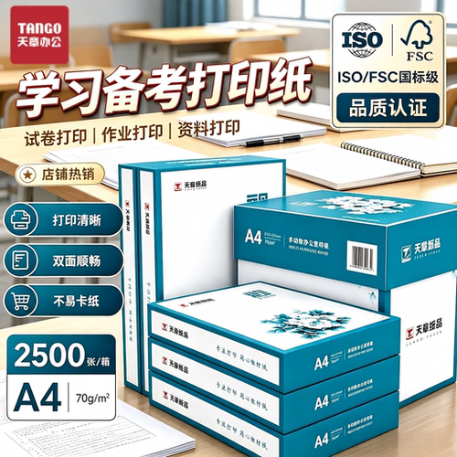 天章A4双面打印复印纸500张/包