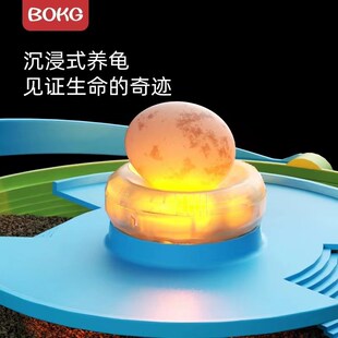 乌龟养育舱 儿童科学实验装龟蛋孵化龟缸晒台爬台饲养盒别墅