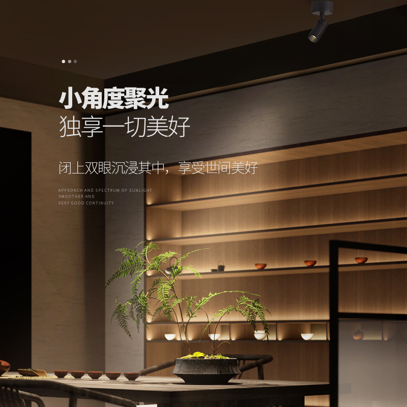 明装小射灯客厅吸顶背景墙照画可调小角度3w博物馆led迷你聚光灯